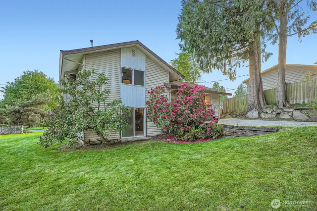 Large corner lot, view from shed and green house of back and side yard areas.