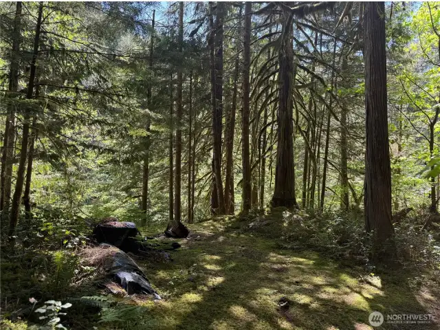 Camping spot, ready for you to come and unplug!