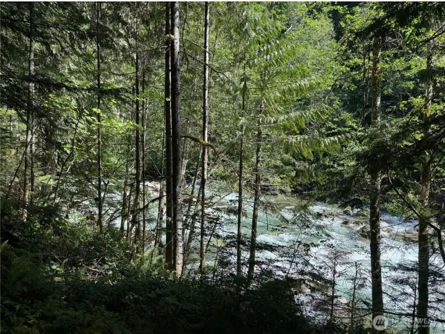 Views of the river from the site