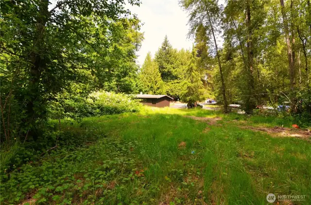 Looking East