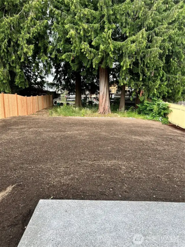 Huge rear yard to be hydroseeded by 6/30