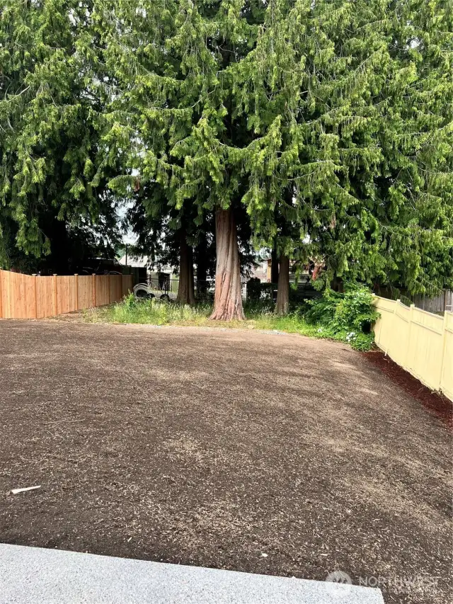 e rear yard to be hydroseeded by 6/30
