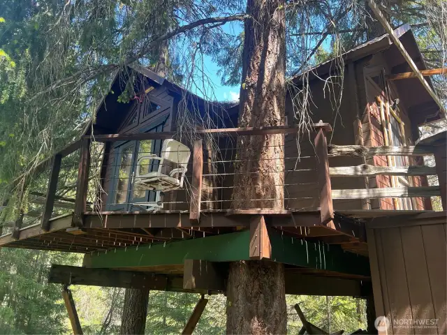 Unimproved Tiny Home / Tree House