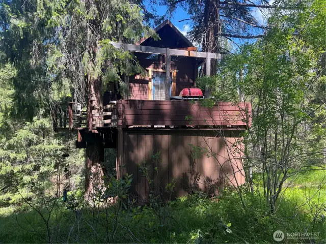 Tree House, Unimproved Home