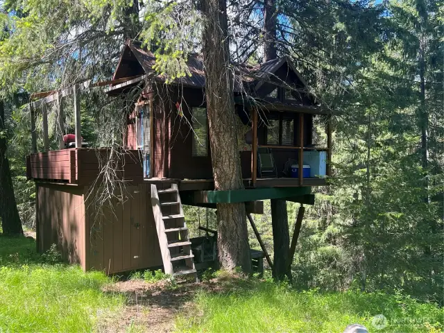 Tree House / Unimproved Tiny Home