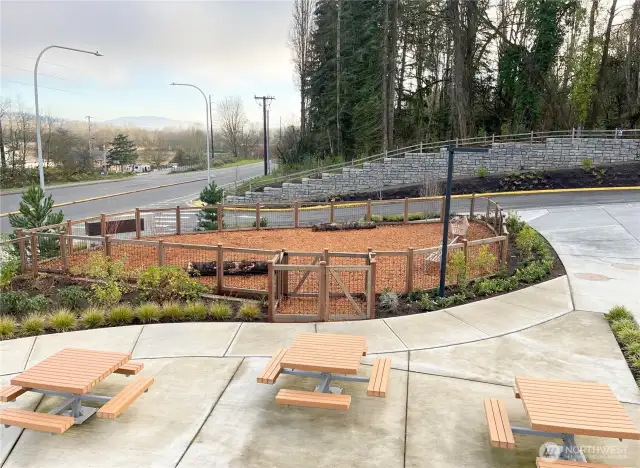 Table and benches.