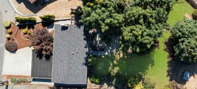 Hard to find large lot