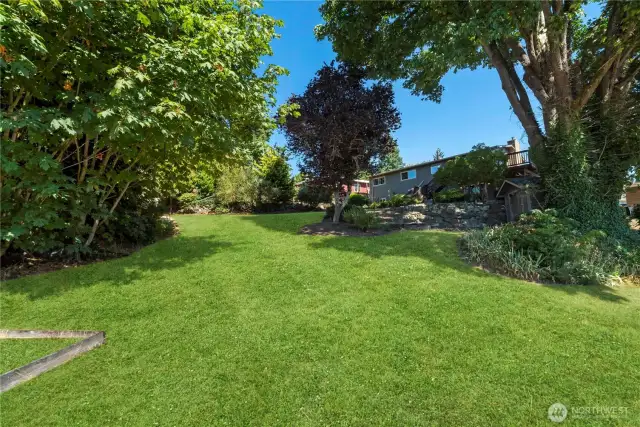What would you do with this space? sled in the winter!