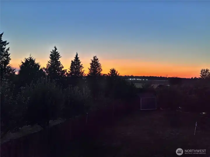 Backyard Sunset