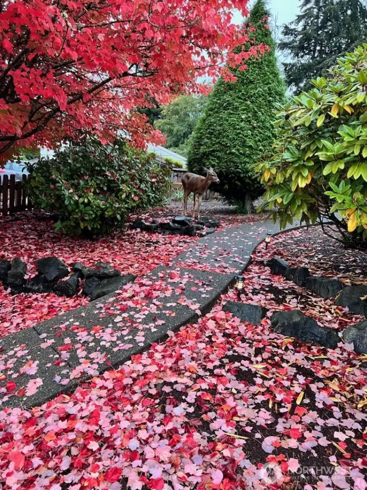 back outside, a sneak peek into what you have to look forward to in the Fall