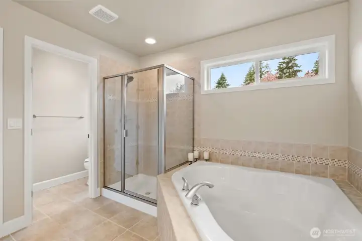 Separate water closet in the primary bath