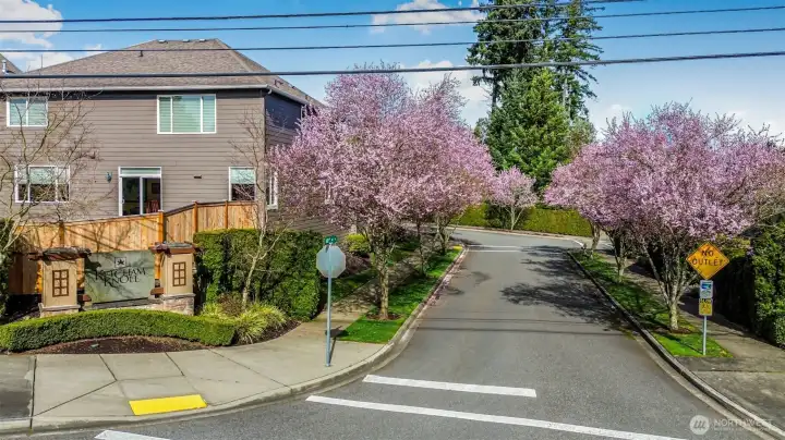 You'll love your new community