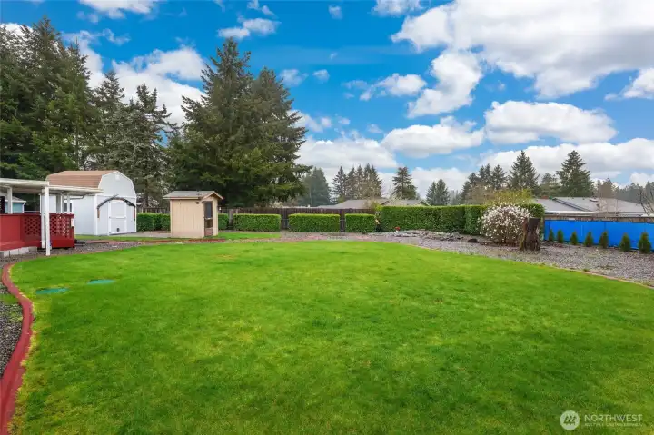 Back yard