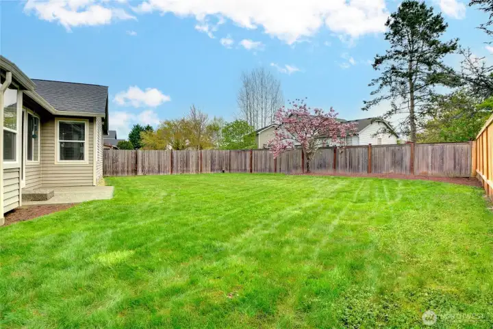 Enjoy the large fully fenced yard.