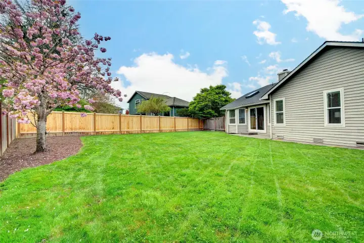 Another shot of the yard.