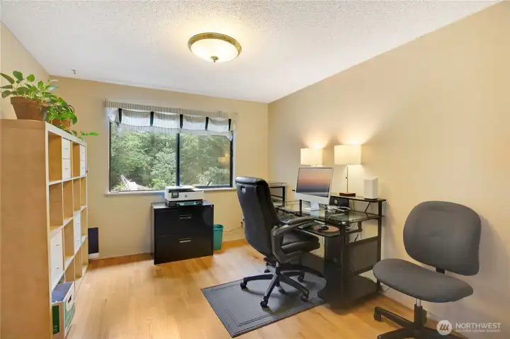 Dining room is being used and an office.  Light fixture recewntly changed back to a pendant that could pulled dow further.