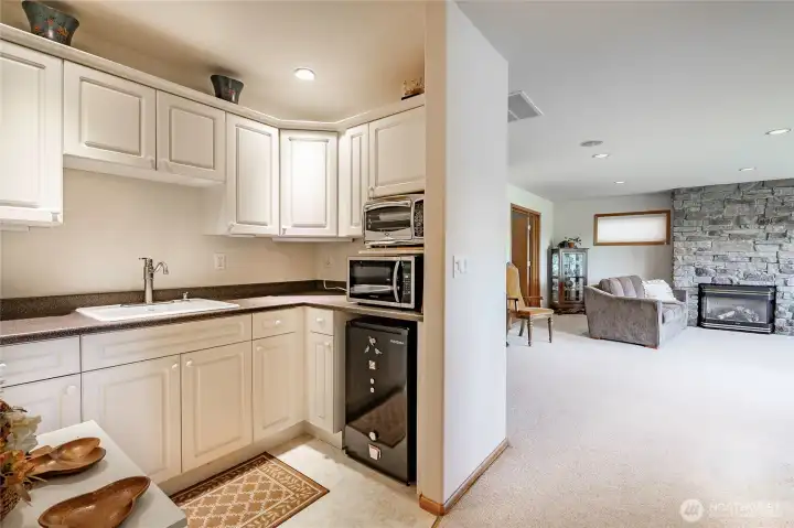 Lower level kitchenette and living room