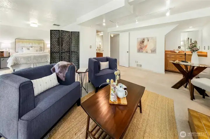 Downstairs family room
