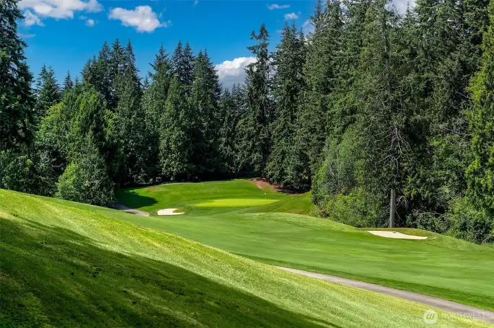 FORE!