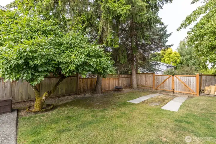 A view of the backyard, looking towards the east A view of the backyard, looking towards the east