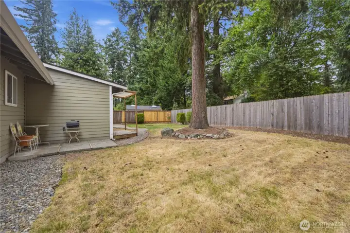 Large private low maintenance yard Large private low maintenance yard