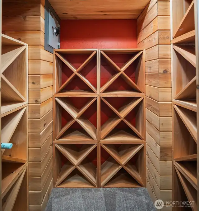 Wine closet & home safe