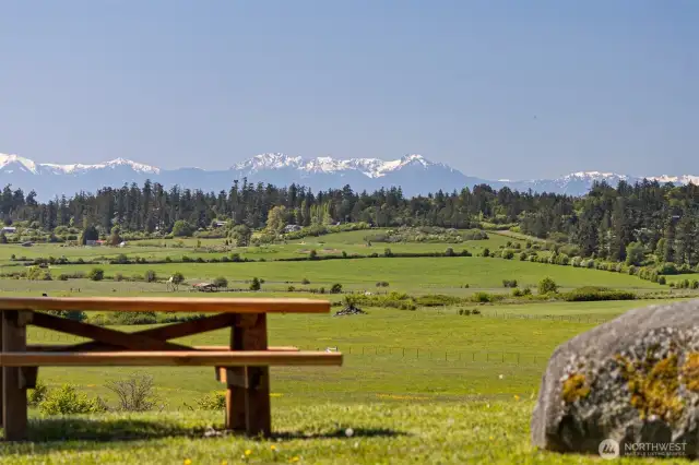 Snow capped Olympics in the distance