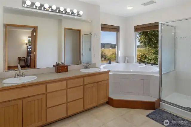 Bath off primary with a soaking tub, shower and walk in closet