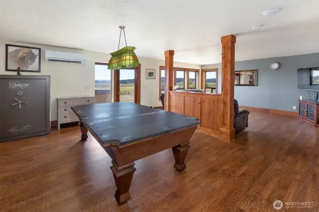 lower level family room