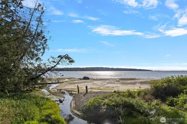 Creek access from your backyard to launch kayaks off your own deck to Drayton Harbor