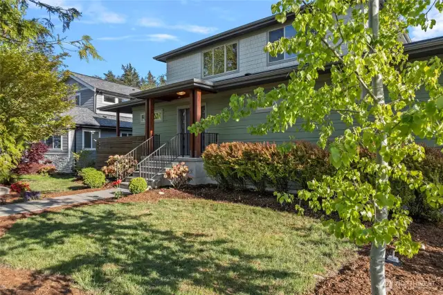 Low maintenance lawn and enough trees for a privacy