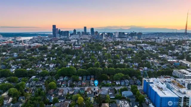 Matchwood homes represent the culmination of design and craft in the urban environment.