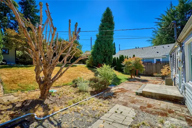 Backyard level closer to the  house.