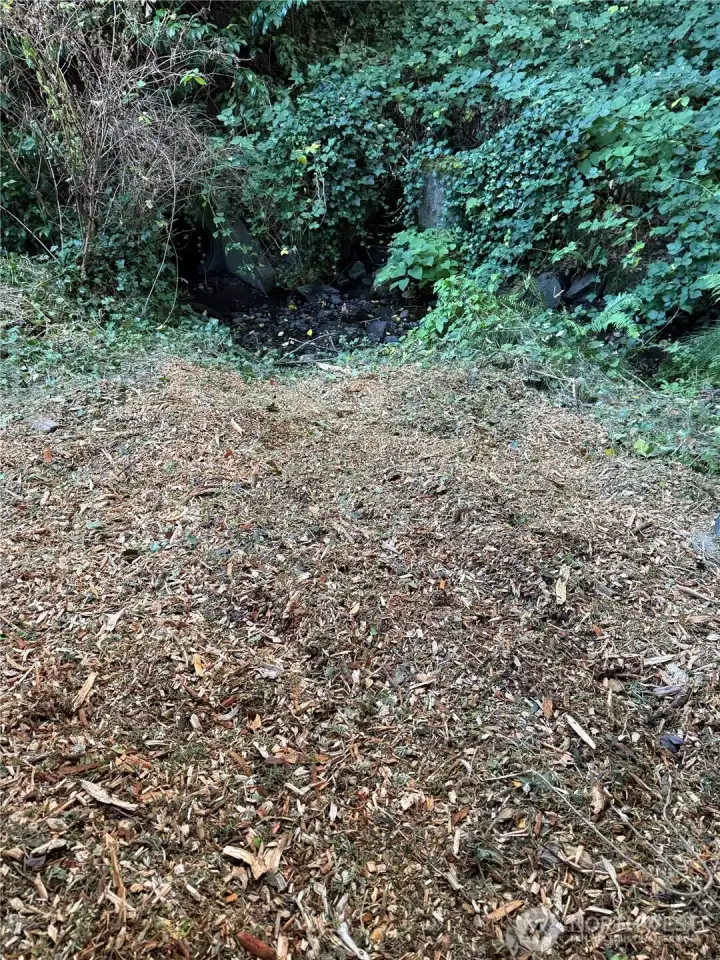 That is Little Brook Creek at the end of the bark.