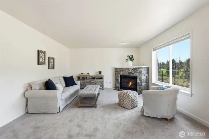 Sunlit family room just off the kitchen and dinette, centered around a warm stone gas fireplace and peaceful views, creating the perfect spot to unwind with a good book.