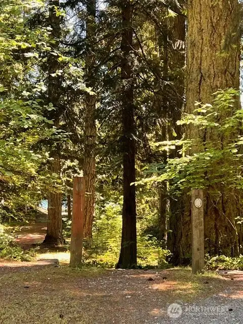 This is directly across the street from the lot - just a short walk to the lake. Location, Location and this lot has the best!