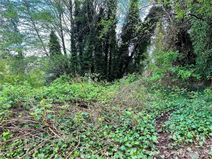 Flat middle section, looking to the South.