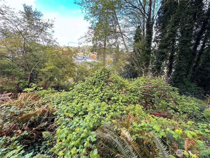 Lot is fairly level in the middle section.