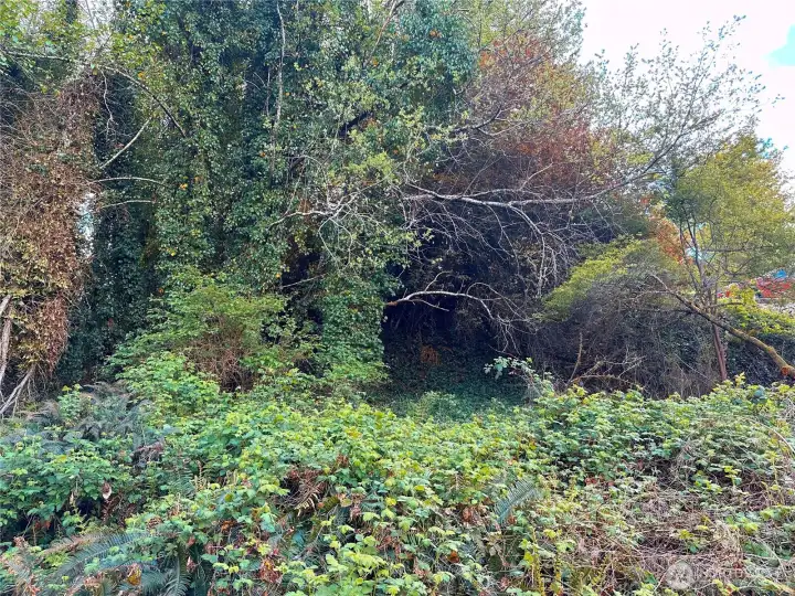 Flat section, looking uphill to the West.