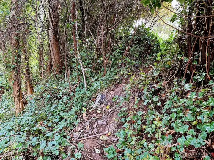 Steepest portion on the West side of lot.