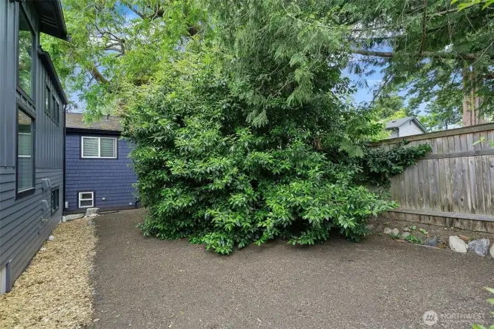 Space in back to garden if you would like. Space in back to garden if you would like.