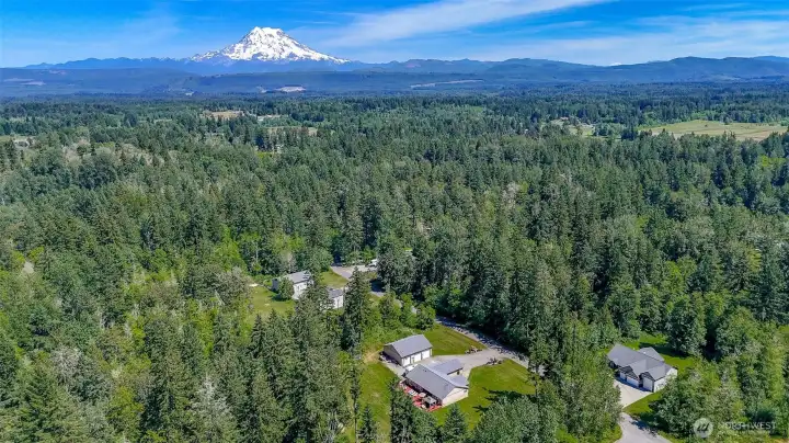 This home is in North Graham.  Mt Rainier is pictured in the background.