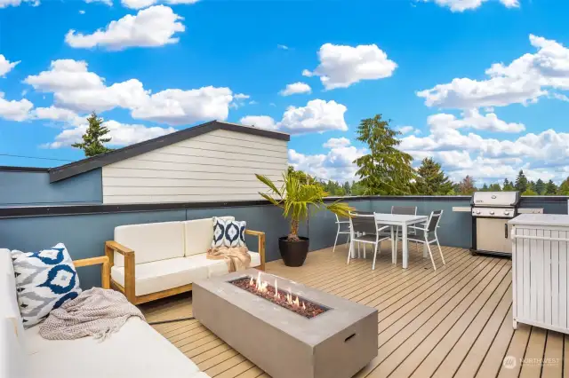 Private roof top deck with Mt. View!