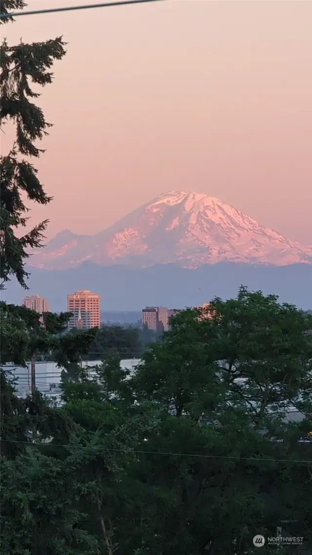 View from the roof top