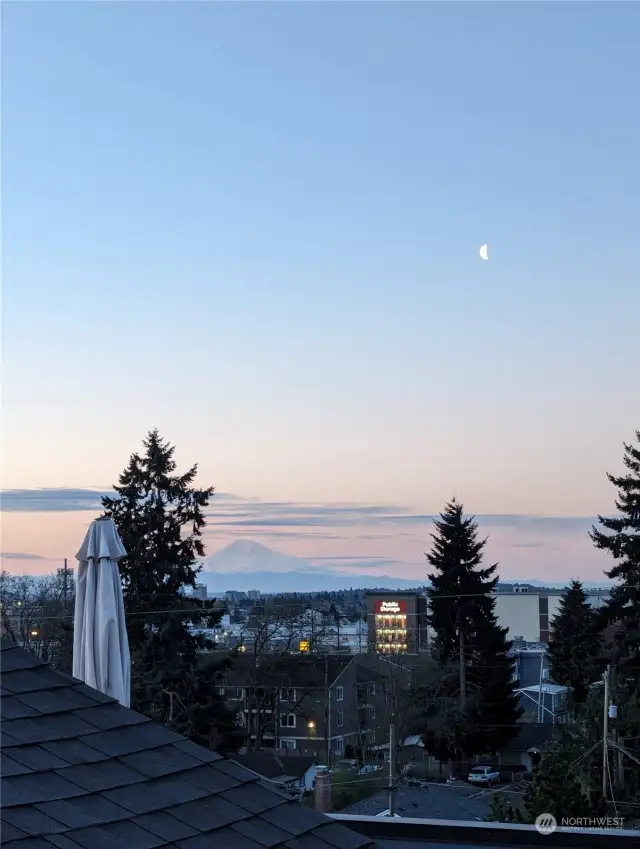 View from the roof top