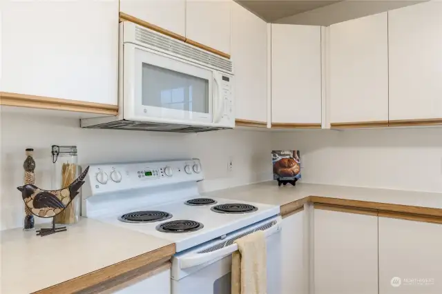 Plenty of counter space and cabinetry