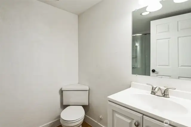 Downstairs bathroom 2 with laundry