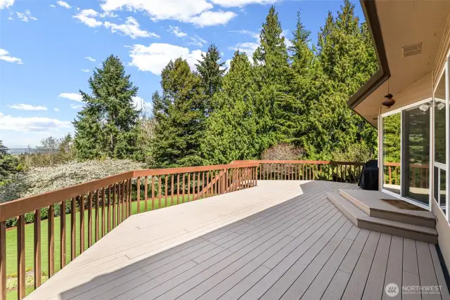 Huge entertaining deck with Natural gas barbecue connection with BBQ