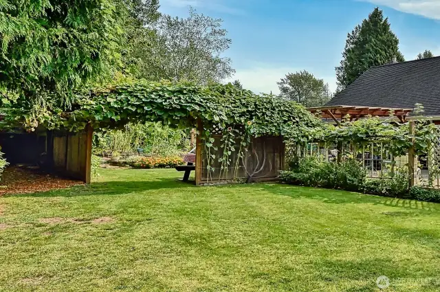 Welcome to a backyard you will never want to leave.