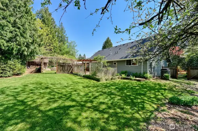 Serene backyard with fruit vines, gardens, fruit trees, and much more.